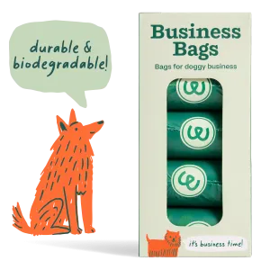 Business Bags