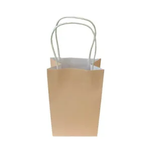 Pastel Peach Paper Party Bag 21.5cm x 13cm x 8cm 5pk